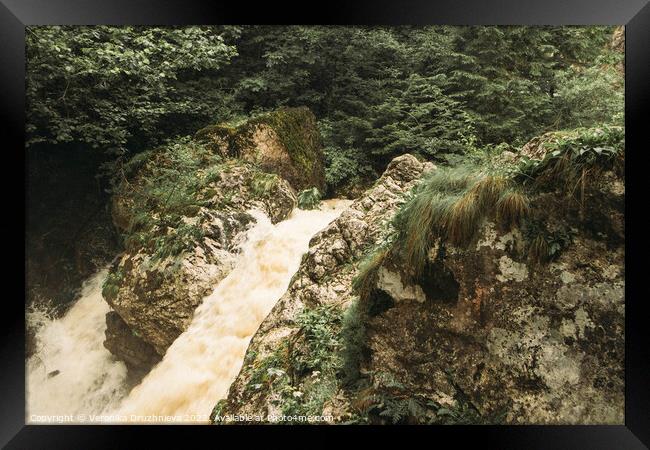 Outdoor mountain, river Romania, Bicaz Gorge Framed Print by Veronika Druzhnieva