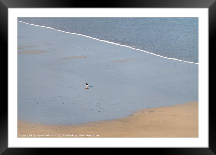 A beach of my own Framed Mounted Print by Dave Collins