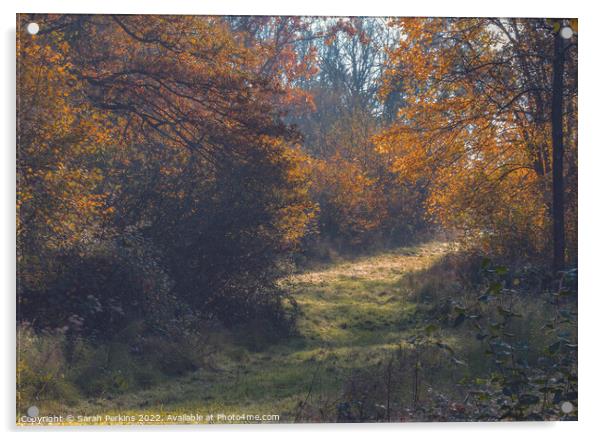 Woodland path Acrylic by Sarah Perkins