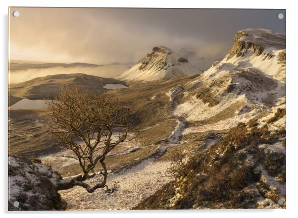 A winter sunrise on the Quiraing  Acrylic by Anthony McGeever