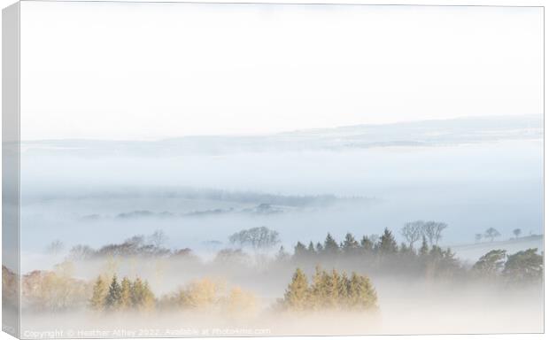 Northumberland Morning Mists Canvas Print by Heather Athey