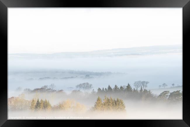 Northumberland Morning Mists Framed Print by Heather Athey