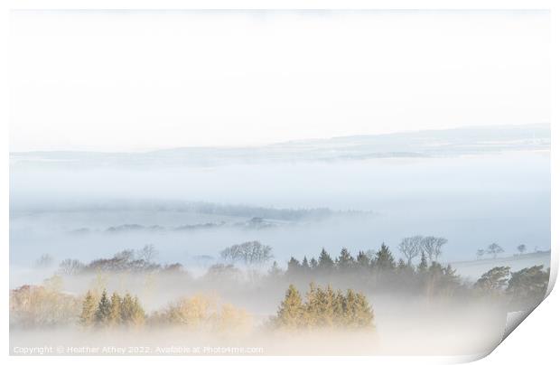Northumberland Morning Mists Print by Heather Athey