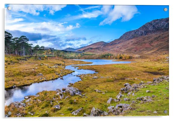 Glen Cannich in the Scottish Highlands Acrylic by John Frid