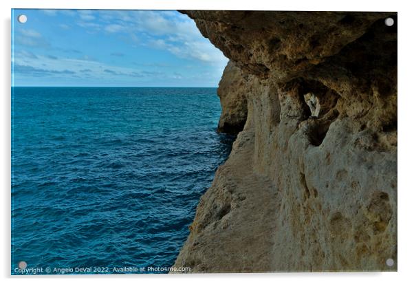Exploring the Cliffs in Carvalho Beach. Algarve Acrylic by Angelo DeVal