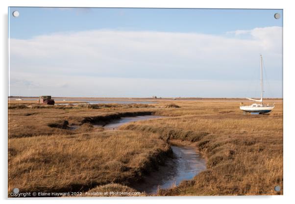 Blakeney marshes Acrylic by Elaine Hayward