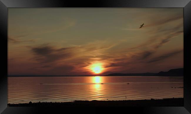 Port William, Scotland, Sunset Framed Print by STEVEN CALCUTT