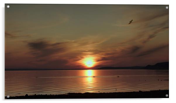 Port William, Scotland, Sunset Acrylic by STEVEN CALCUTT