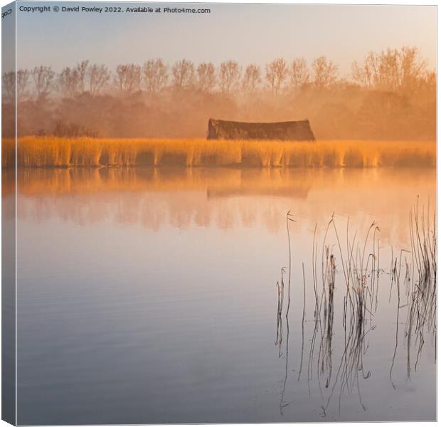 Morning Light Over Horsey Mere Canvas Print by David Powley