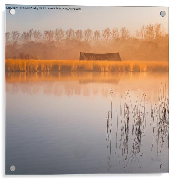 Morning Light Over Horsey Mere Acrylic by David Powley