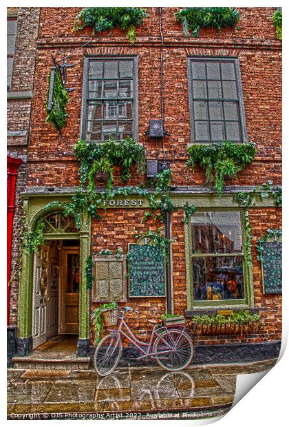 Forest Resturant York Print by GJS Photography Artist