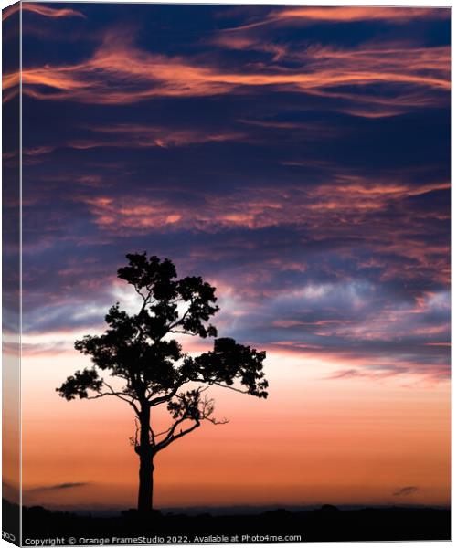 Tree Silhouette  Canvas Print by Orange FrameStudio