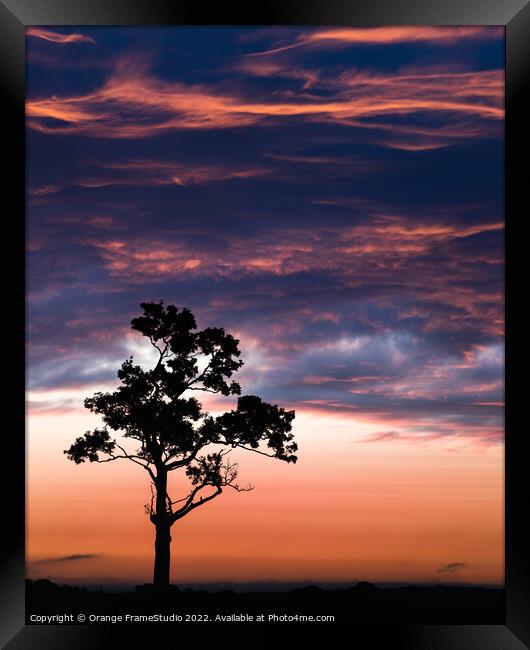 Tree Silhouette  Framed Print by Orange FrameStudio