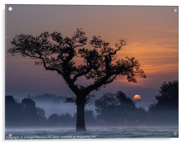 Tree Silhouette Acrylic by Orange FrameStudio