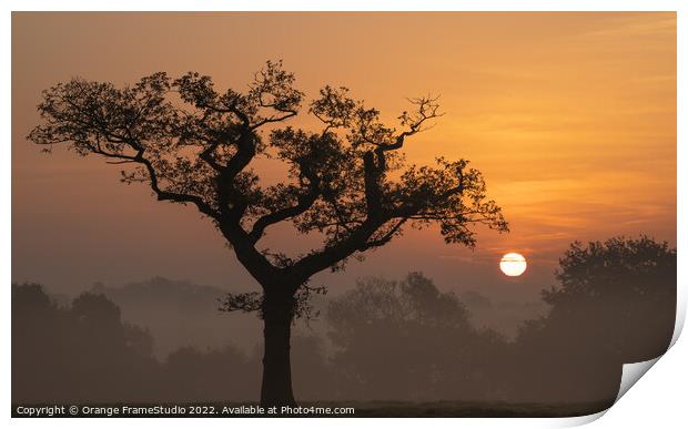 Tree Silhouette Sunrise Print by Orange FrameStudio
