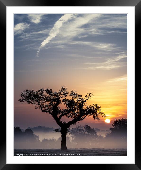 Tree Silhouette Sunrise Framed Mounted Print by Orange FrameStudio