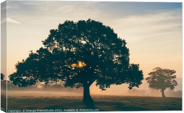 Tree Silhouette Sunrise Canvas Print by Orange FrameStudio