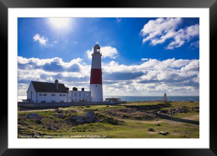 Portland Bill lighthouse from the side Framed Mounted Print by Ann Biddlecombe