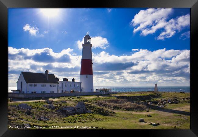 Portland Bill lighthouse from the side Framed Print by Ann Biddlecombe