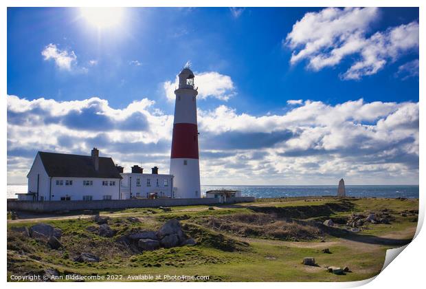 Portland Bill lighthouse from the side Print by Ann Biddlecombe