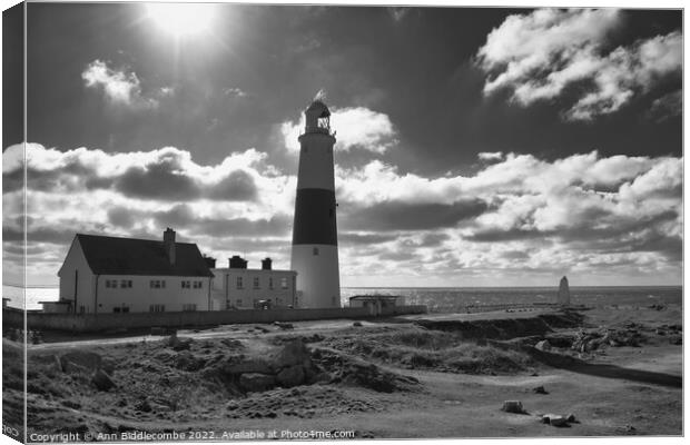 Portland Bill lighthouse from the side in monochro Canvas Print by Ann Biddlecombe