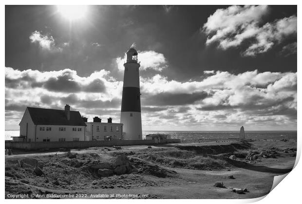 Portland Bill lighthouse from the side in monochro Print by Ann Biddlecombe