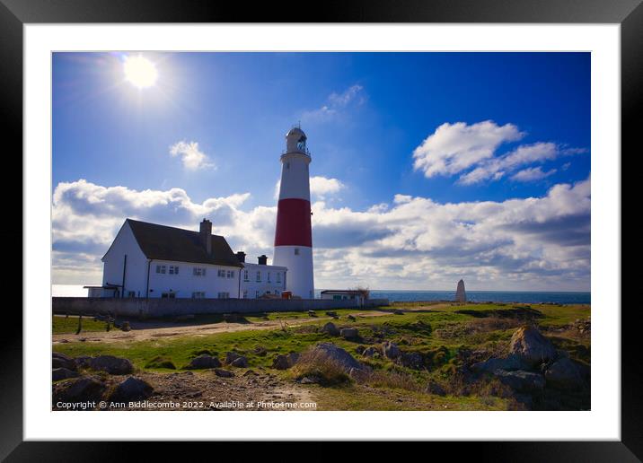 Portland Bill lighthouse with the sun Framed Mounted Print by Ann Biddlecombe