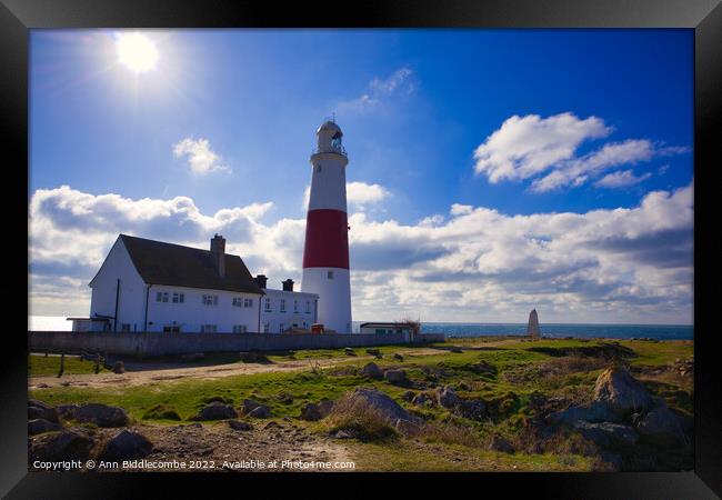 Portland Bill lighthouse with the sun Framed Print by Ann Biddlecombe