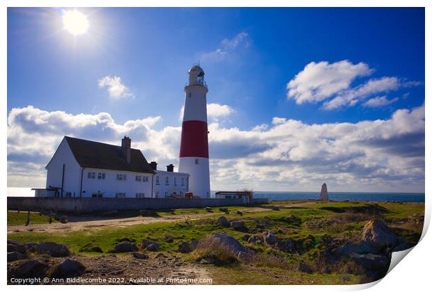 Portland Bill lighthouse with the sun Print by Ann Biddlecombe