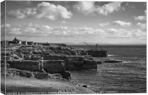 A view over the rocks in monochrome Canvas Print by Ann Biddlecombe