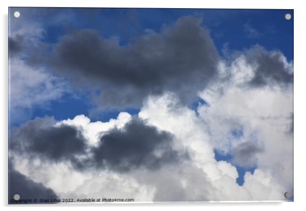 Cumulus clouds Acrylic by Stan Lihai