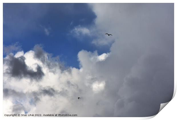 Seagulls in rainy sky Print by Stan Lihai