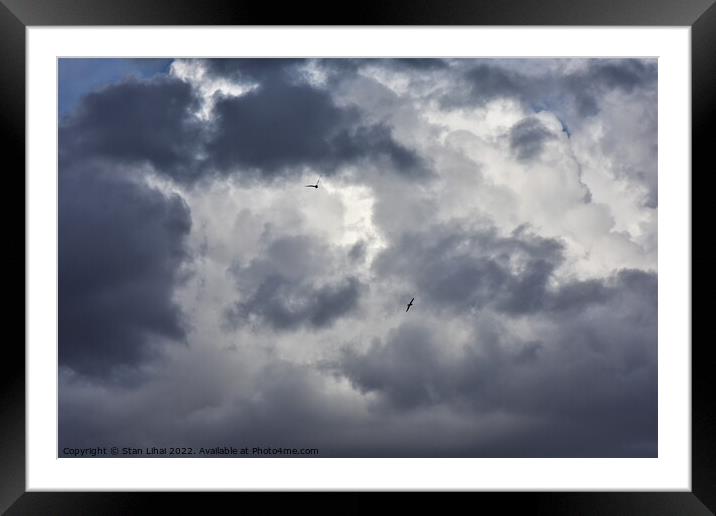 Seagulls in dramatic sky Framed Mounted Print by Stan Lihai