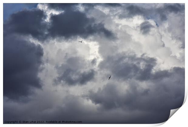 Seagulls in dramatic sky Print by Stan Lihai