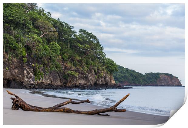 Rugged coastline of Guanacaste Print by Jason Wells