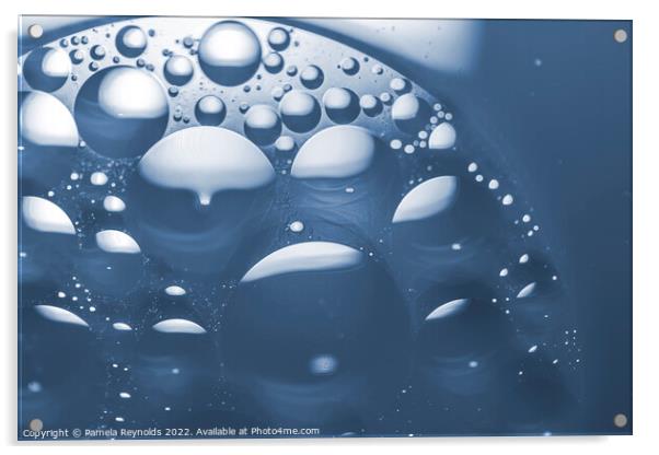 Bubbles in Blue Tones Acrylic by Pamela Reynolds