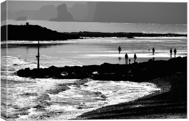 Sidmouth Silhouettes 4 Canvas Print by Roy Curtis