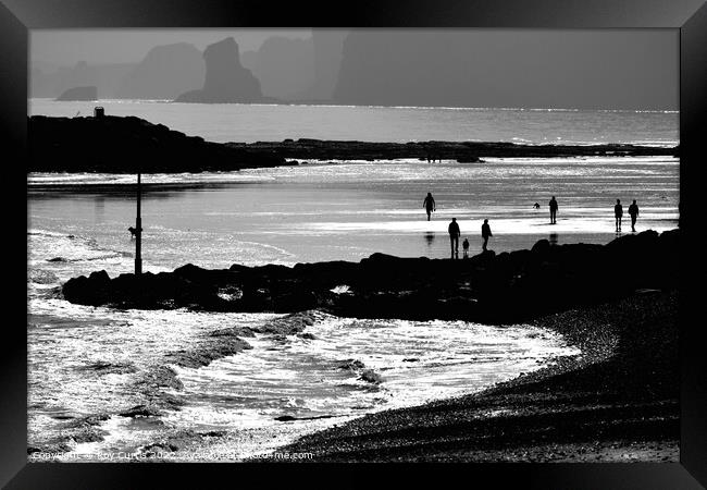 Sidmouth Silhouettes 4 Framed Print by Roy Curtis