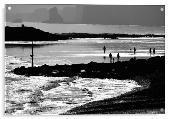 Sidmouth Silhouettes 4 Acrylic by Roy Curtis