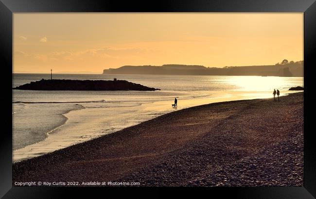 Sidmouth 6 Framed Print by Roy Curtis