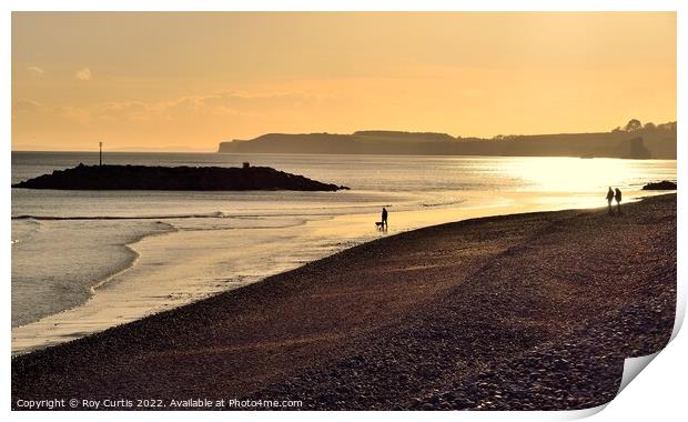 Sidmouth 6 Print by Roy Curtis