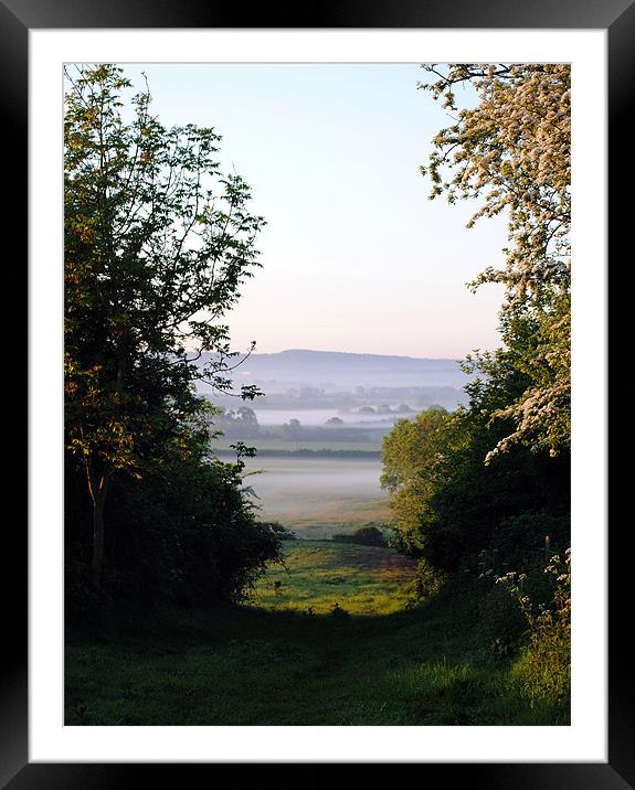 The Chilterns in Springtime Framed Mounted Print by graham young