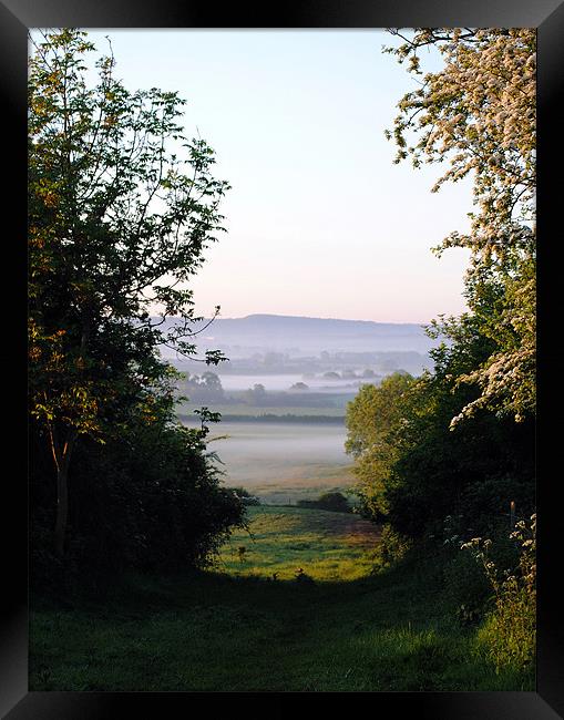 The Chilterns in Springtime Framed Print by graham young