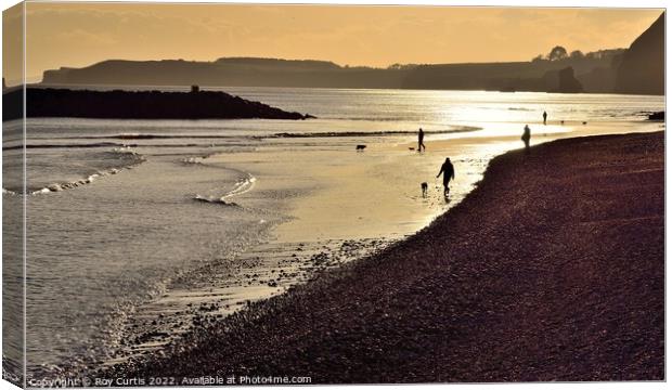 Sidmouth 7 Canvas Print by Roy Curtis