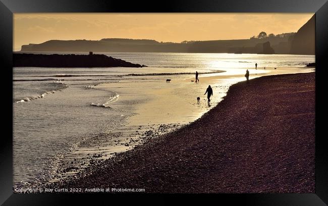 Sidmouth 7 Framed Print by Roy Curtis