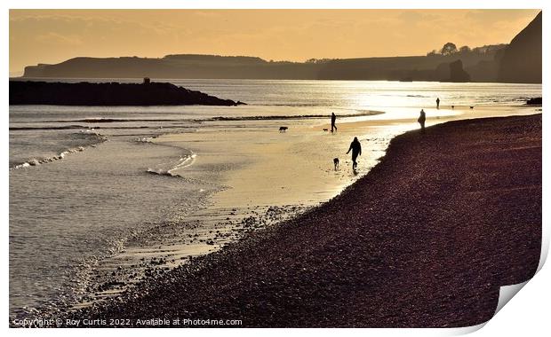 Sidmouth 7 Print by Roy Curtis