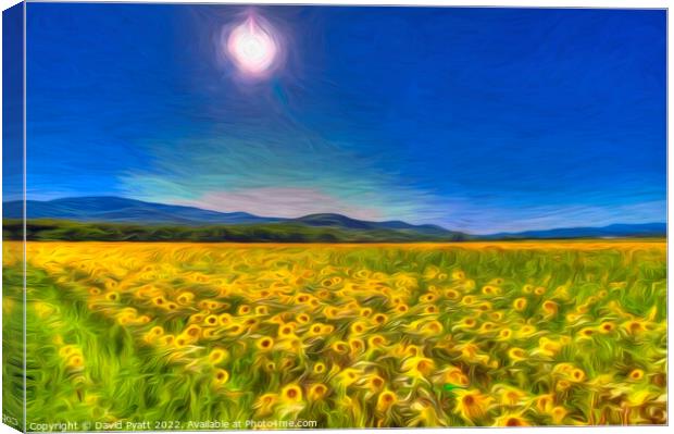Sunflower Field Of Art      Canvas Print by David Pyatt
