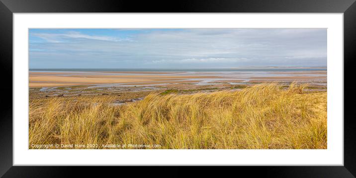 Whiteford Beach Framed Mounted Print by David Hare