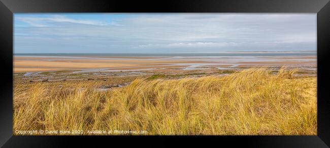 Whiteford Beach Framed Print by David Hare