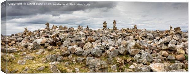 Gower Stones Canvas Print by David Hare